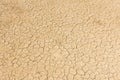 Dry land. Cracked ground background. Royalty Free Stock Photo