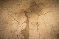 Dry land. Cracked ground background. Royalty Free Stock Photo