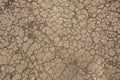 Dry land. Cracked ground background. Royalty Free Stock Photo