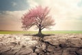 Dry land with cracked soil and a lonely tree. Global warming concept. Soil erosion. Ecology. Deforestation Royalty Free Stock Photo