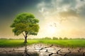 Dry land with cracked soil and a lonely tree. Global warming concept. Soil erosion. Ecology. Deforestation Royalty Free Stock Photo