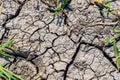 Dry land with cracks near the grass. Top view, texture Royalty Free Stock Photo