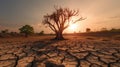 Dry land with dead tree in the sunset, Namibia. Generative AI Royalty Free Stock Photo