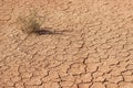 Dry land in a desert