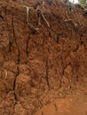 dry land in the dry season breaks apart