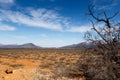 Dry Land - Graaff-Reinet Landscape