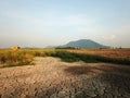 Dry land at paddy field Royalty Free Stock Photo