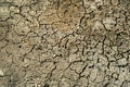 Dry land with small cracks as a concept of drought and global warming. Cracked soil texture or ground pattern with cracks Royalty Free Stock Photo