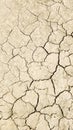 Dry land texture Royalty Free Stock Photo