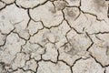 Dry land texture, background image. Royalty Free Stock Photo