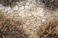 Dry land texture, background image. Royalty Free Stock Photo