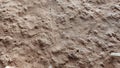 Dry land texture soil dust conture surface in dry season Royalty Free Stock Photo