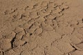 Dry land texture Royalty Free Stock Photo