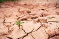 Dry land, World Disaster, Broken soil , Cracked ground background