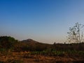 Dry landscape in Maharashtra, India