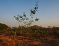 Dry landscape in Maharashtra, India