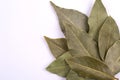 Dry laurel bay leaf on white Royalty Free Stock Photo