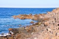 Dry Lava Coast Beach