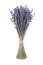 Dry lavender bouquet isolated on white background.