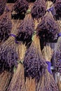 Dry lavender flowers bunch with blue ribbon in a street market Royalty Free Stock Photo