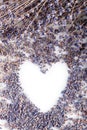 Dry lavender - heart shape border frame