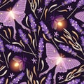 Dry lavender and moon moth vector seamless pattern Royalty Free Stock Photo