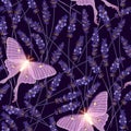 Dry lavender and moon moth vector seamless pattern Royalty Free Stock Photo