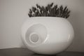 Dry lavenders in a white style vase. black and white