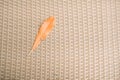 Dry leaf on gray plastic wicker basket