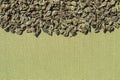 Dry leaf Gunpowder green tea on a green textile background. Textured background with copy space for your message