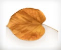 Dry leaf icon Royalty Free Stock Photo
