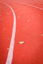 Dry leaf on runing track Royalty Free Stock Photo