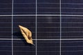 Dry Leaf on Solar Panel Surface Top View