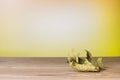 Dry leaf on a wooden table. Autumn background Royalty Free Stock Photo