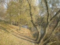 Dry leafs and water, trees in the foreground, river in background, sunny weather autumn,West Bug river country villige Royalty Free Stock Photo