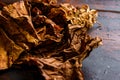 Dry leafs tobacco close up Nicotiana tabacum and tobacco leaves on old wood planks table dark side view space for text Royalty Free Stock Photo