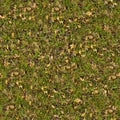 Dry Leaves on Green Grass. Seamless Texture. Royalty Free Stock Photo