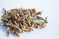 Dry leaves of medicinal herbs for brewing tea. Dried Rhododendron Adamsia Sagan Dale, Sagaan Dali, on a white background.