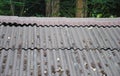 Dry leaves residue on the tile roof Royalty Free Stock Photo