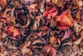 Dry rose petals. Withered autumn flowers Royalty Free Stock Photo