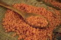 Dry lentils spoon on wooden food agriculture