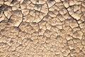 Dry lifeless cracked soil texture