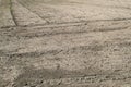 Dry field. Desert soil cracked by drought.