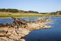 Dry log on the reservoir Royalty Free Stock Photo