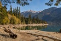 Dry logs and tree stumps on the dry shore of Baker Lake in North Cascades Royalty Free Stock Photo