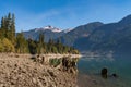 Dry logs and tree stumps on the dry shore of Baker Lake in North Cascades Royalty Free Stock Photo