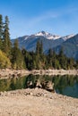 Dry logs and tree stumps on the dry shore of Baker Lake in North Cascades Royalty Free Stock Photo