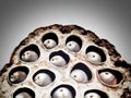 Dry lotus pod, lot of holes there has many seeds inside, likes the eyes, trypophobia concept. Royalty Free Stock Photo