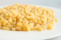 Dry macaroni Pasta on white dish