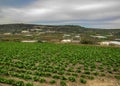 Dry Maltese countryside view, Xemxija and Manikata, Malta